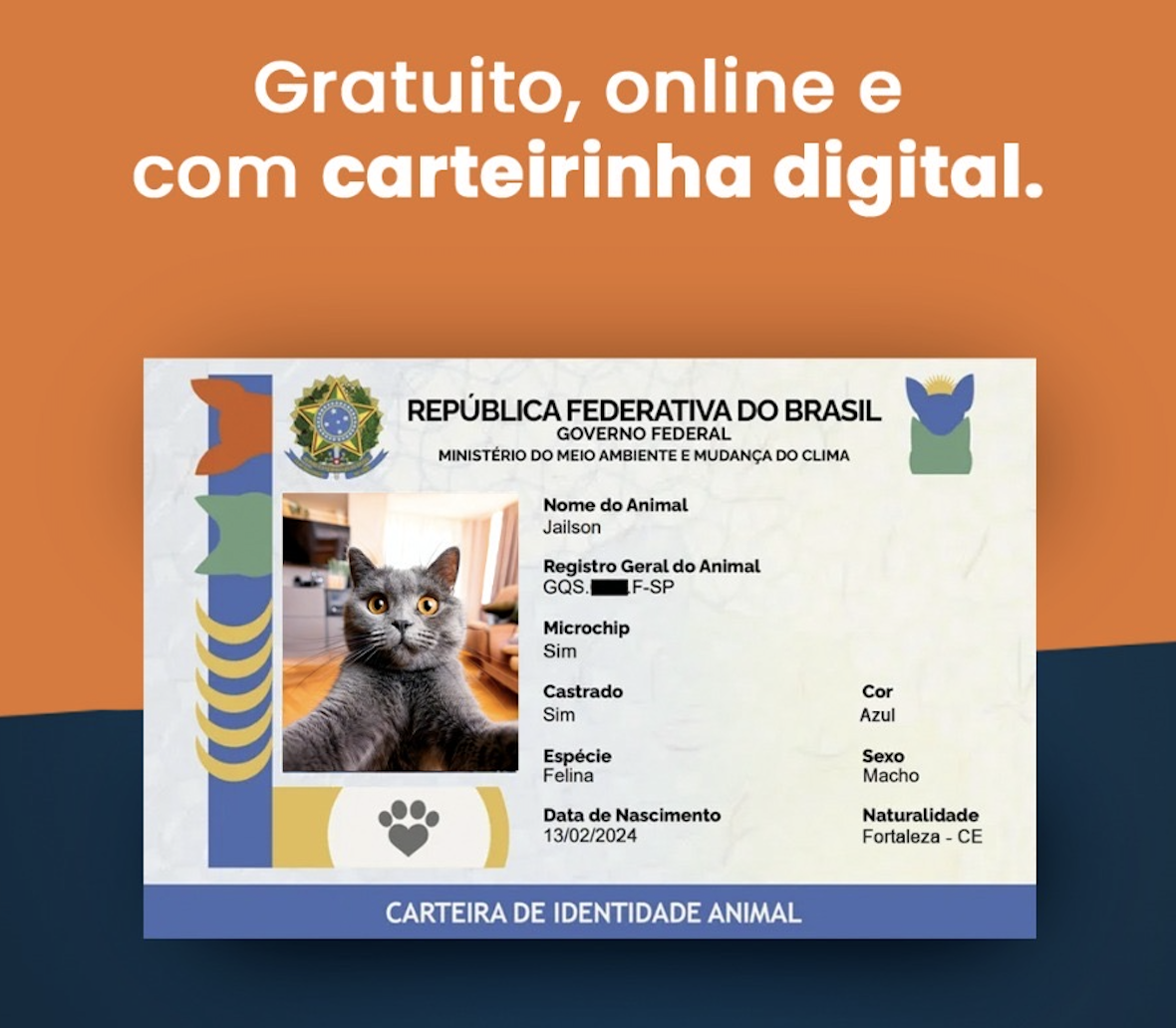 Tarjeta digital con QR oficial SinPatinhas Brasil