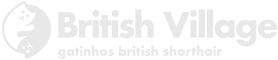 Logotipo de British Village